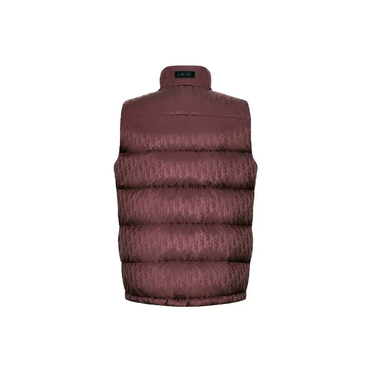 DIOR Oblique Sleeveless Down Jacket-1