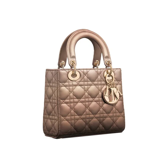 DIOR Lady DIOR Handbags-1