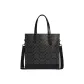Bag+Dust Bag