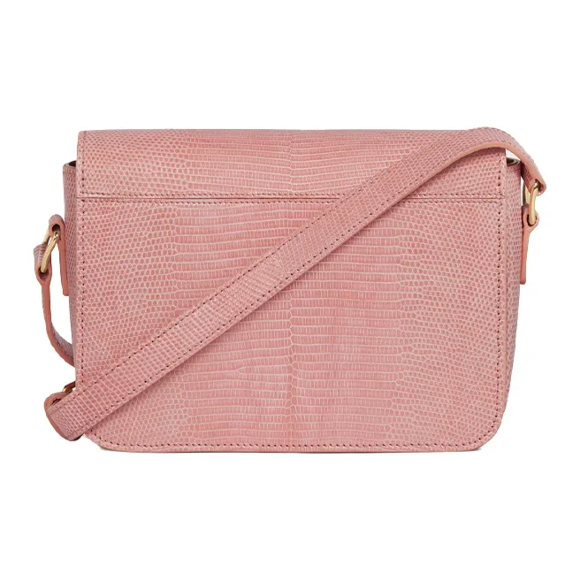 CELINE Triomphe Shiny Cow Leather Crossbody Handbag Shoulder Bag Women's Light Pink-2