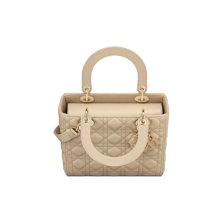 DIOR Lady DIOR Handbags-2
