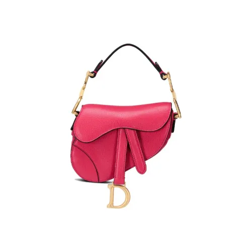 DIOR Saddle Handbags