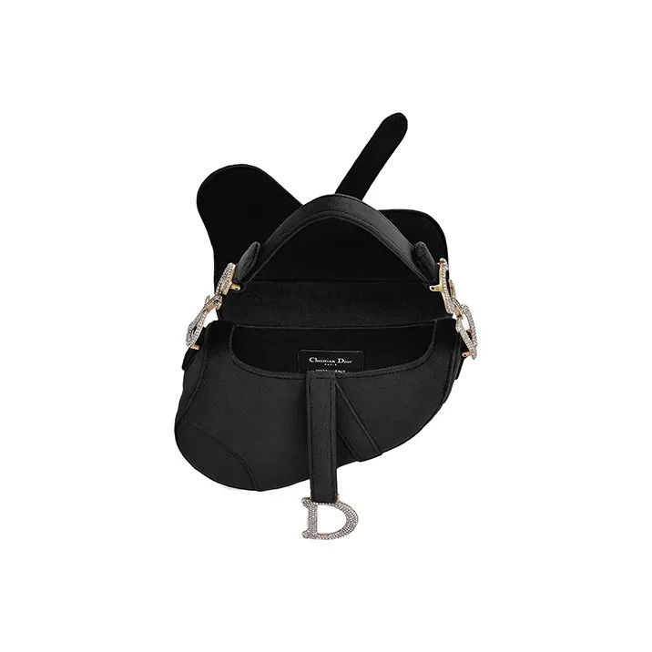 DIOR Saddle Handbags-2