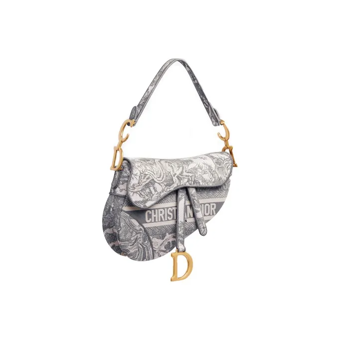 DIOR Saddle Ruiyi Print Embroidery One Shoulder Handbags Medium Size Women's Gray-1