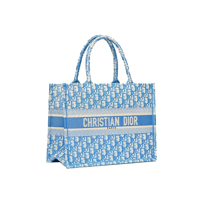 DIOR BookTote Handbag-1