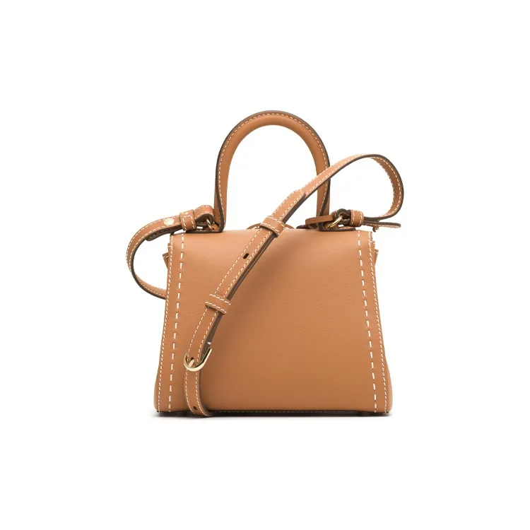 Delvau Brillant Calfskin Portable Crossbody Bag, Shoulder Bag Mini Women's Caramel Brown-2