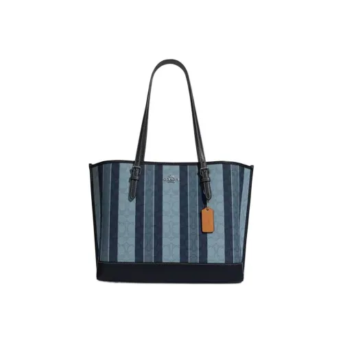 COACH Mollie Shoulder Bags