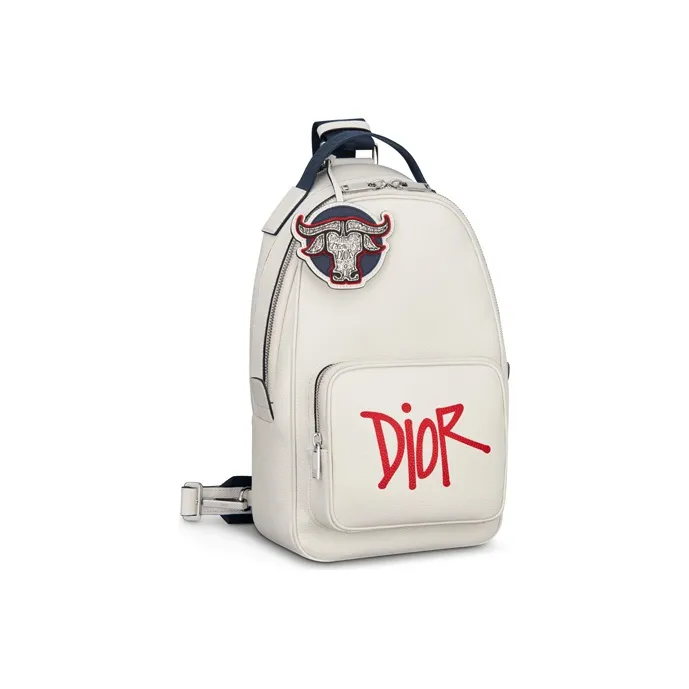 DIOR × SHAWN Collaboration Grained Calfskin Sling Bag Shoulder Bag Crossbody Bag Men's White-1