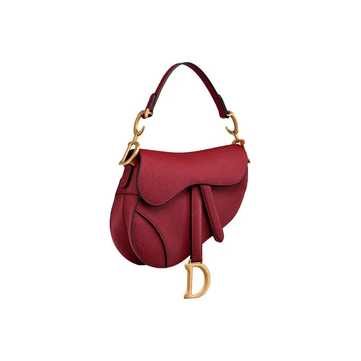 DIOR Saddle Handbags-1