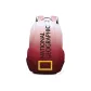 Maroon White Gradient