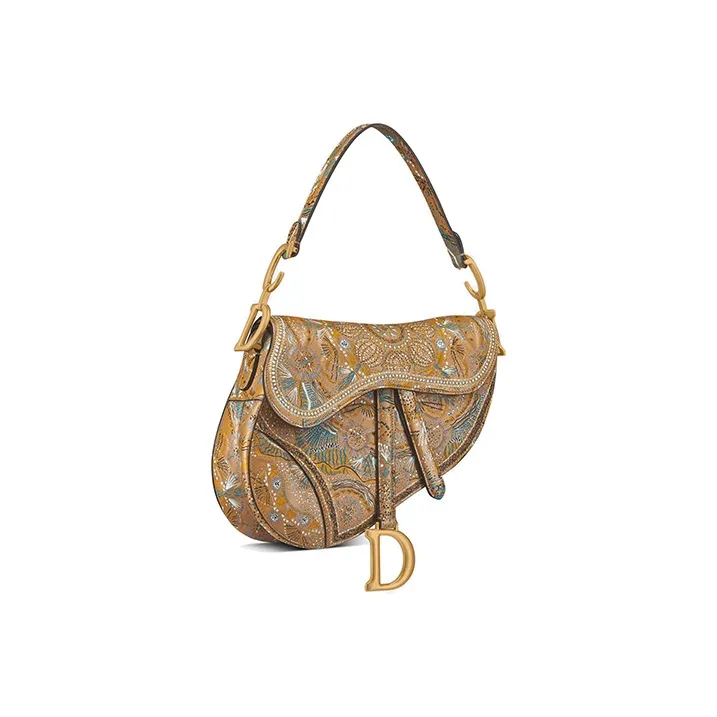 DIOR Saddle Handbags-1
