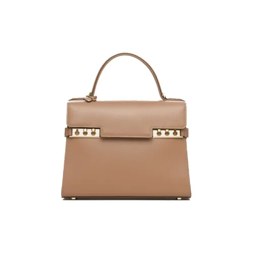 Delvaux Tempête Handbag