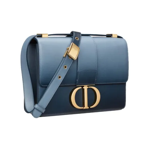 DIOR Montaigne Collection Shoulder Bags