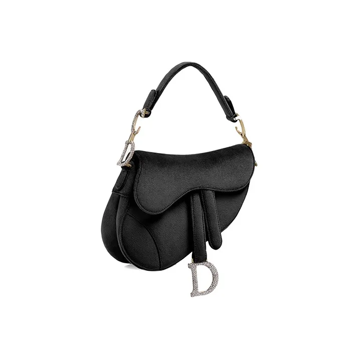 DIOR Saddle Handbags-1