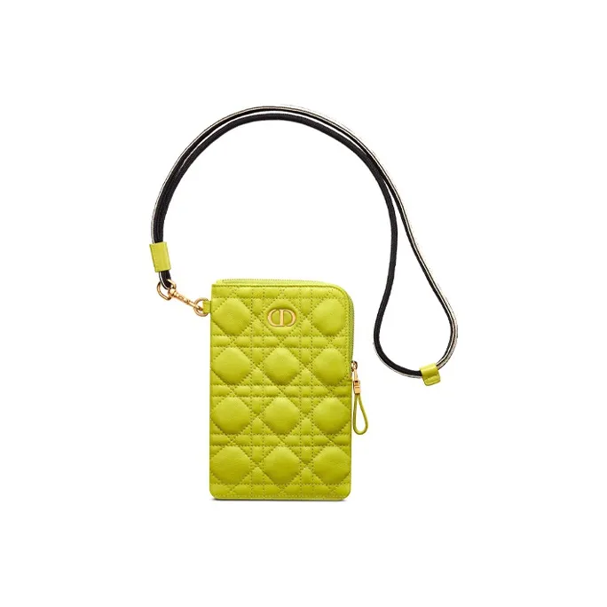 DIOR Caro Series Clutches-2