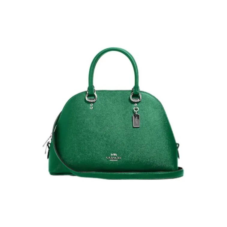 COACH Katy Handbags-0