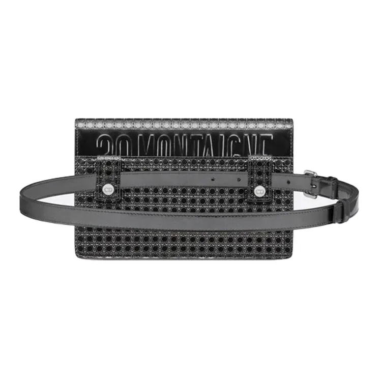 DIOR 30 Montaigne Clutches-4