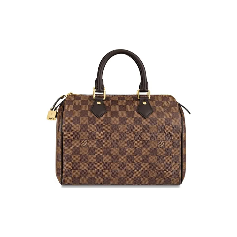 LOUIS VUITTON 2008 Speedy 25 Handbag-1