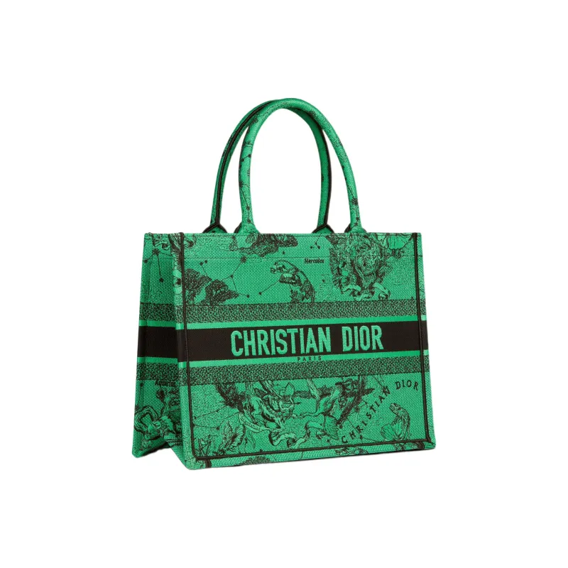 DIOR BookTote Handbags-1