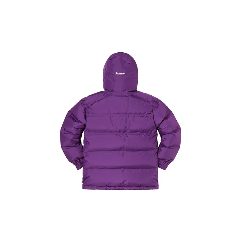 Supreme GORE TEX 700 Fill Down Parka FW19-1