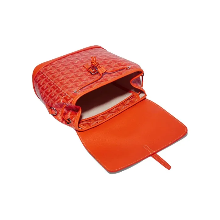 GOYARD Alpin Backpacks-4