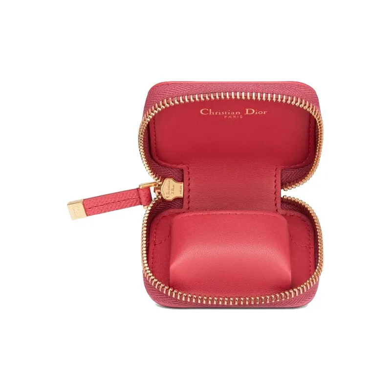 DIOR Earphone Cases-2