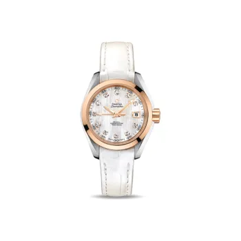 OMEGA Seamaster Aqua Terra 231.23.30.20.55.001