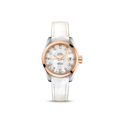 OMEGA Seamaster Aqua Terra 231.23.30.20.55.001