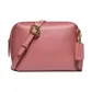 Bag+Dust Bag