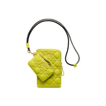 DIOR Caro Series Clutches