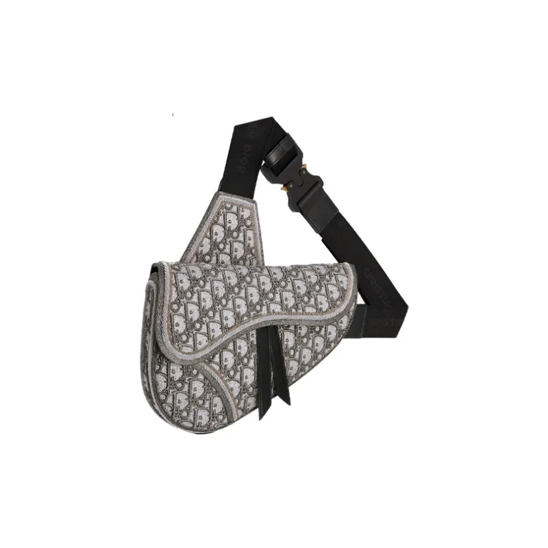 DIOR Saddle Crossbody Bags-1
