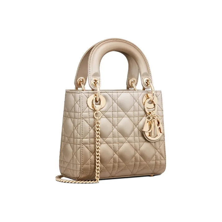 DIOR Lady Dior Cow Leather Handbag Mini Women's Change To Metal Gray-1