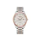 Silver Dial