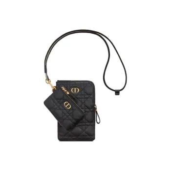 DIOR Caro Series Clutches