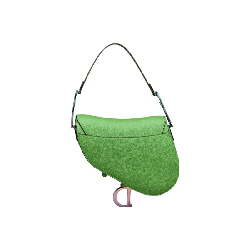 DIOR Saddle Handbags-2