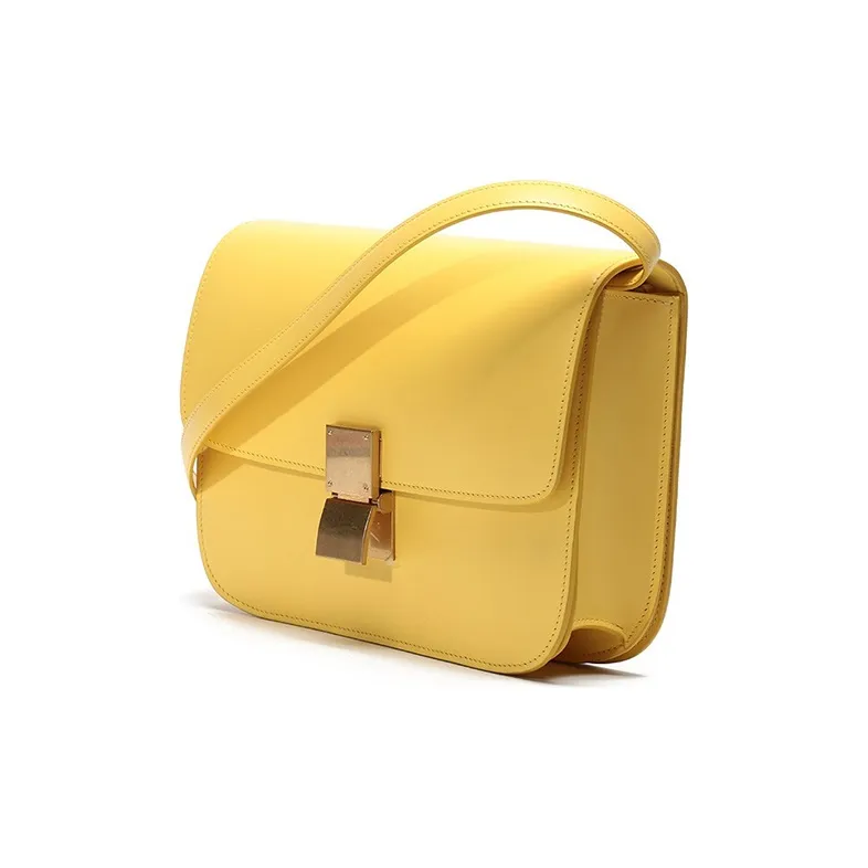 CELINE Classic Box Crossbody Bags-1