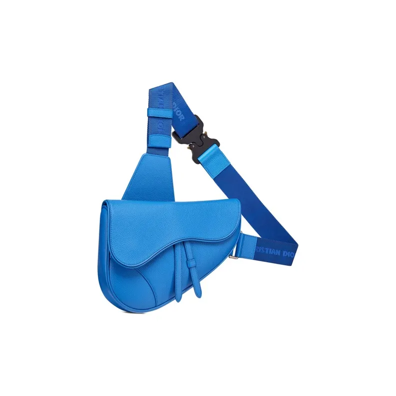 DIOR Saddle Sling Bags-1