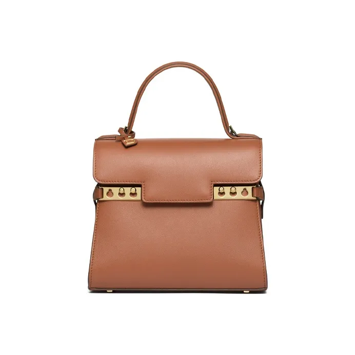 Delvaux Tempête Handbags-0