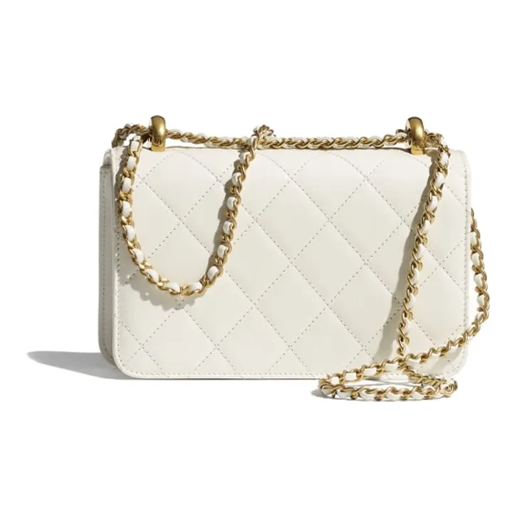 CHANEL 19Bag Calfskin Handbag, Shoulder Bag, Crossbody Bag Mini Women's White-1