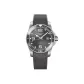 Gray Dial