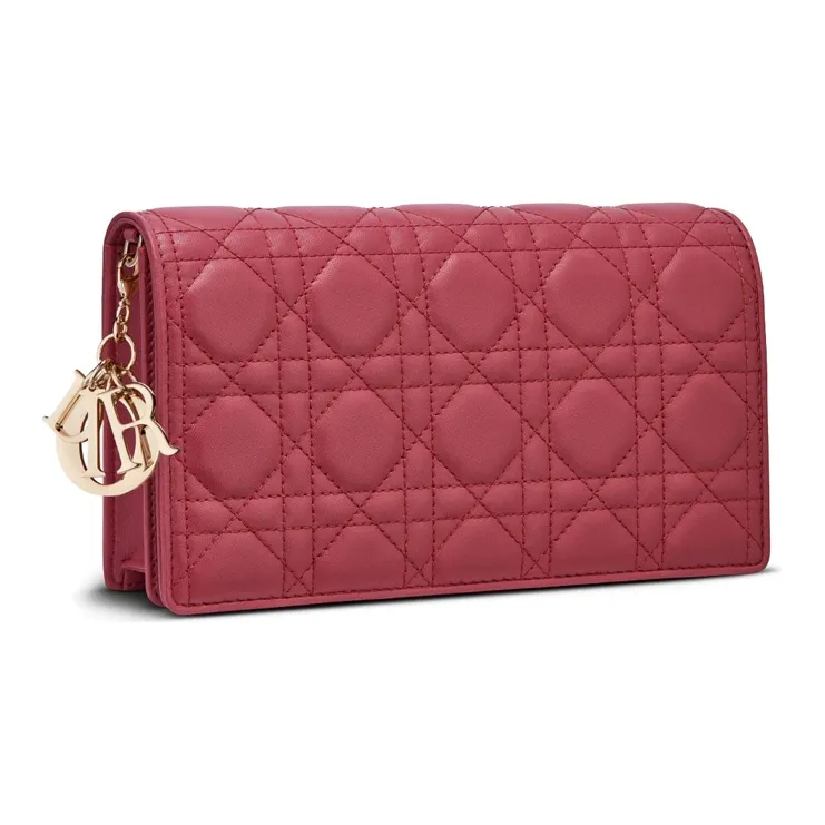 DIOR Lady DIOR Clutches-1
