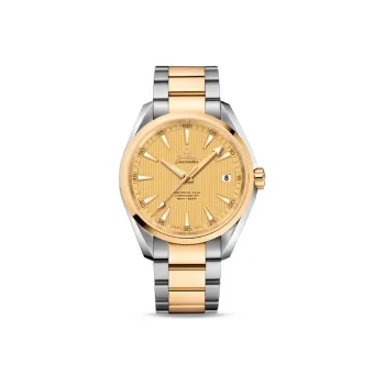 OMEGA Seamaster Aqua Terra 231.20.42.21.08.001