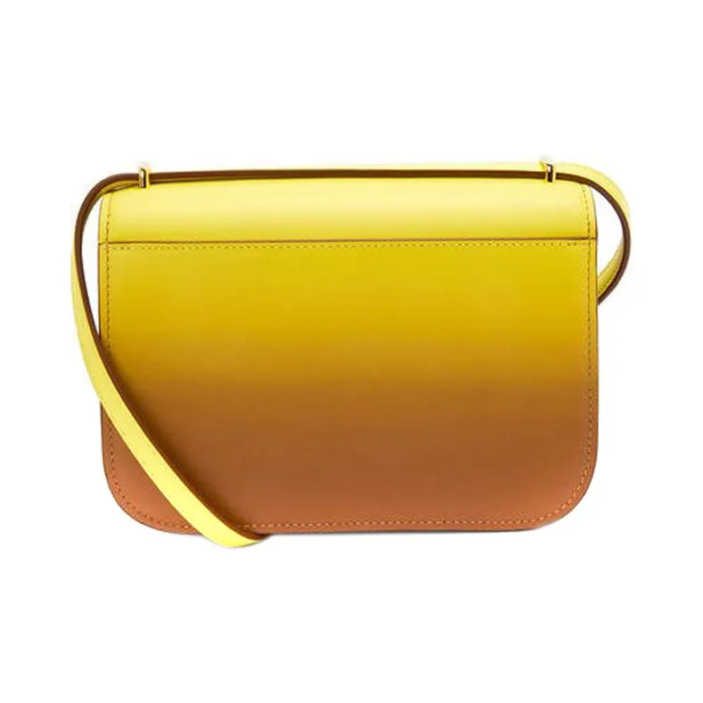 LOEWE Goya Silk Cow Leather Shoulder Bag Crossbody Bag Small Size Women's Lemon/Gold-2