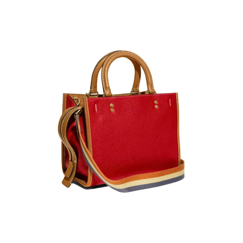 Disney X COACH Rogue Handbags-1