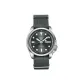 Gray Dial