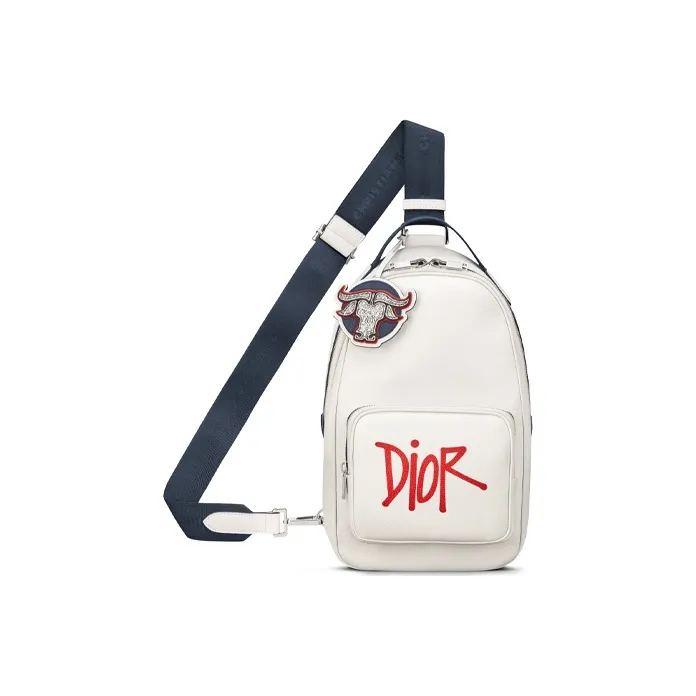 DIOR × SHAWN Collaboration Grained Calfskin Sling Bag Shoulder Bag Crossbody Bag Men's White-0