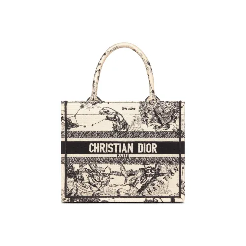 DIOR BookTote Handbags