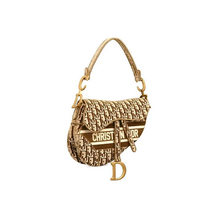 DIOR Saddle Shoulder Bags-2