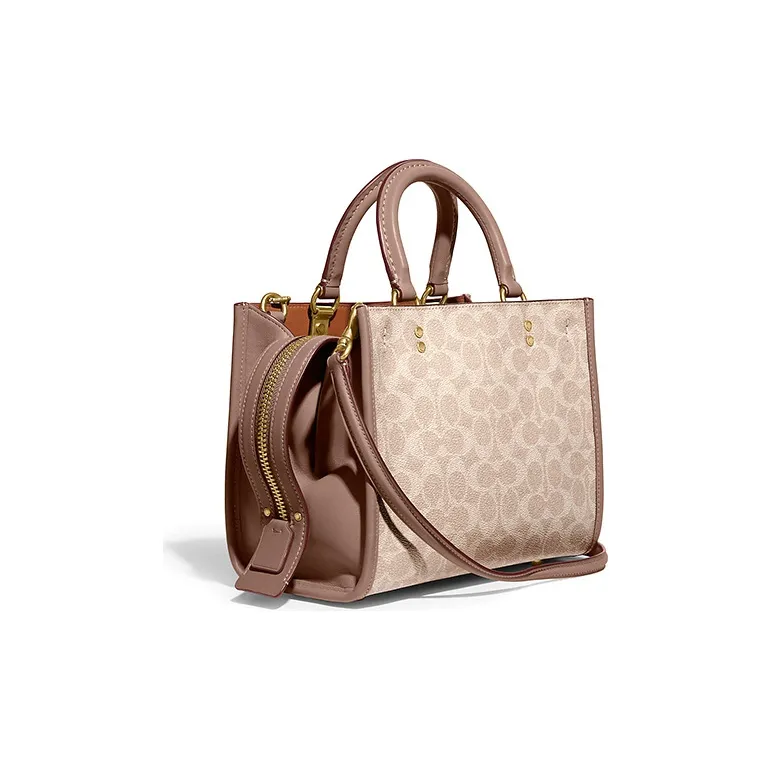 Disney X COACH Rogue Handbags-1