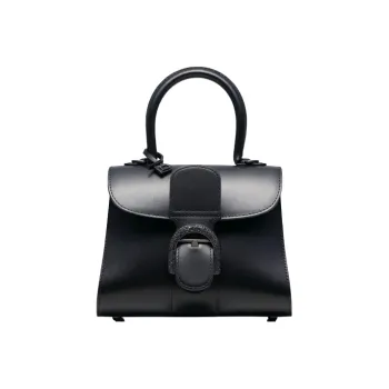 Delvaux Brillant Handbags